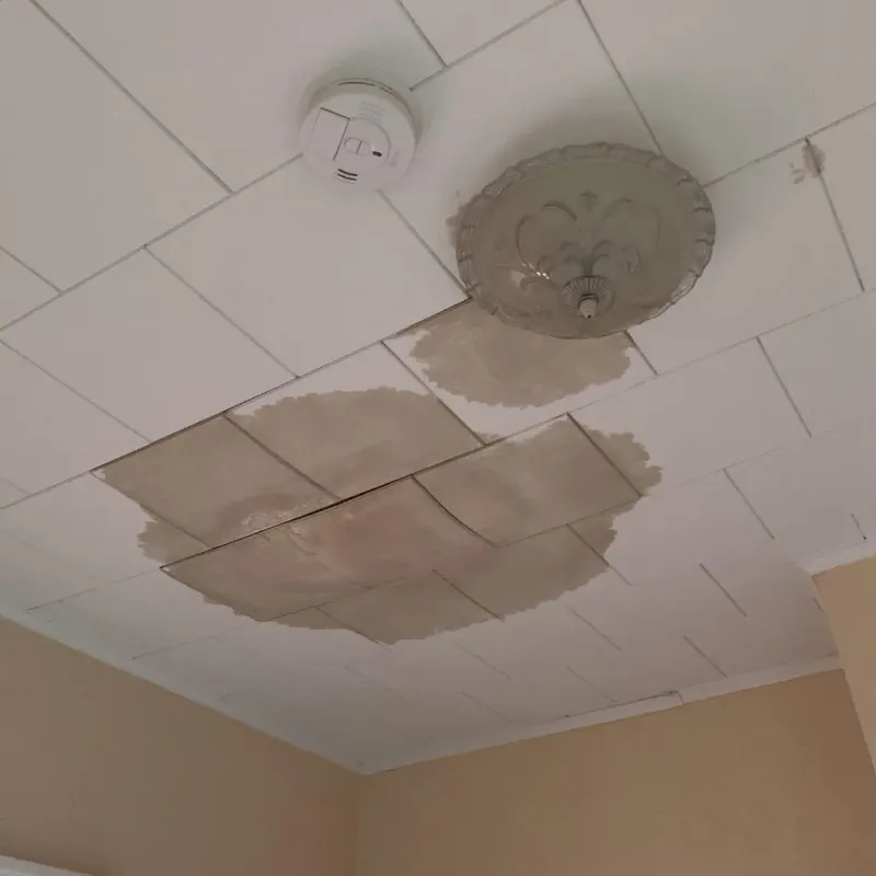 Ceiling Water Damage Repair in Isle of Hope, GA